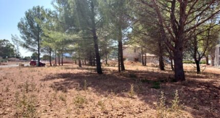 Cuers Terrain à bâtir - 2390160-11137annonce120260112Bq7SW.jpeg Maisons Open