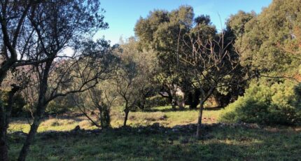 Carnoules Terrain à bâtir - 2390143-4866annonce220260112XiH3d.jpeg Maisons Open