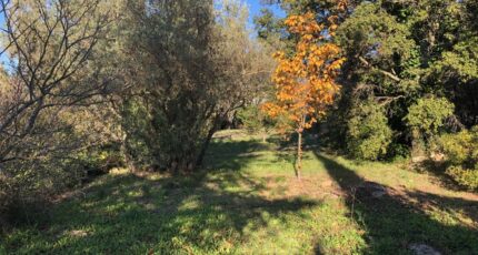 Carnoules Terrain à bâtir - 2390143-4866annonce320260112KwLC2.jpeg Maisons Open