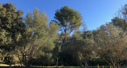 Carnoules Terrain à bâtir - 2390125-4866annonce3202601126EP9T.jpeg Maisons Open