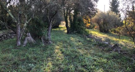 Carnoules Terrain à bâtir - 2390125-4866annonce420260112WQn7y.jpeg Maisons Open