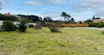 Garéoult Terrain à bâtir - 2390316-4866annonce220260113ipqTc.jpeg Maisons Open