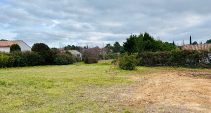 Garéoult Terrain à bâtir - 2390316-4866annonce320260113vyxiF.jpeg Maisons Open
