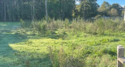 Le Taillan-Médoc Terrain à bâtir - 2330122-11016annonce120251106PsQIg.jpeg Maisons Open