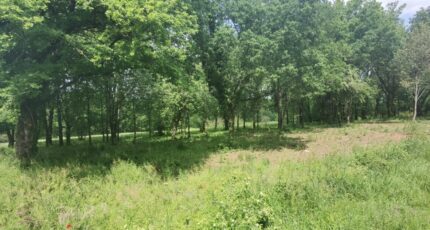 Martillac Terrain à bâtir - 2390507-11358annonce120260113Twi9K.jpeg Maisons Open