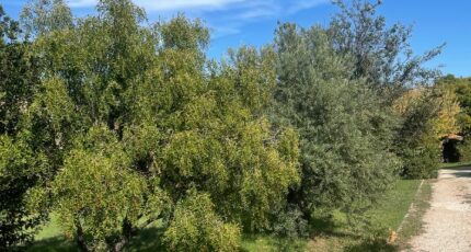 Fuveau Terrain à bâtir - 2390782-10271annonce420260113N4SuF.jpeg Maisons Open