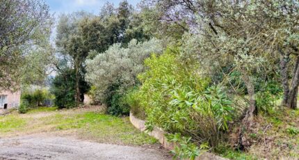 Pignans Terrain à bâtir - 2390434-4866annonce420260113vmNcd.jpeg Maisons Open