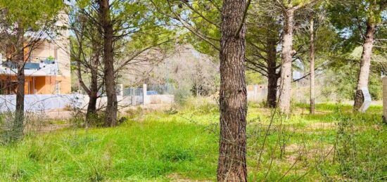 Terrain à bâtir à , Var