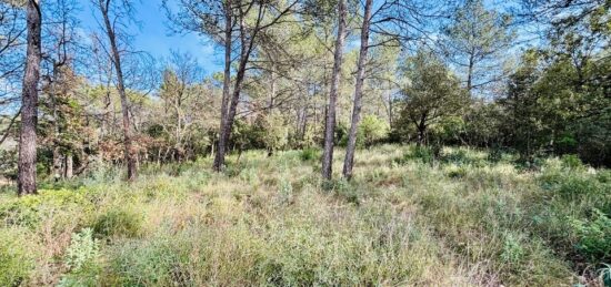 Terrain à bâtir à Rocbaron, Provence-Alpes-Côte d'Azur