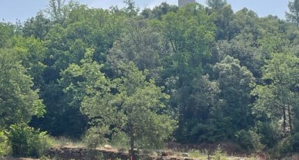 Taradeau Terrain à bâtir - 2390988-4866annonce420260113KsHnF.jpeg Maisons Open