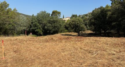 Taradeau Terrain à bâtir - 2390988-4866annonce520260113y5MLQ.jpeg Maisons Open