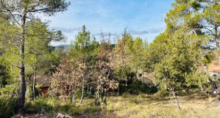 Rocbaron Terrain à bâtir - 2390897-4866annonce120260113TPL0f.jpeg Maisons Open