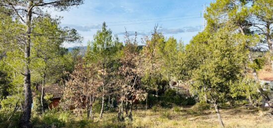 Terrain à bâtir à Rocbaron, Provence-Alpes-Côte d'Azur