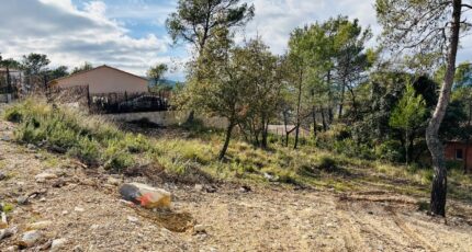 Rocbaron Terrain à bâtir - 2390897-4866annonce320260113ya1J3.jpeg Maisons Open