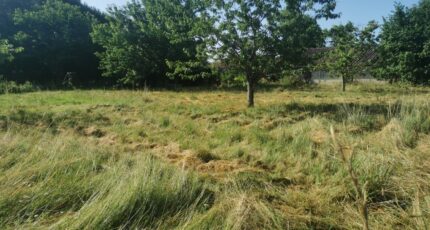 Saint-Pardon-de-Conques Terrain à bâtir - 2391207-9573annonce120260113loNXd.jpeg Maisons Open