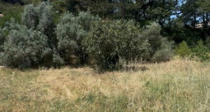 Aubagne Terrain à bâtir - 2391228-7054annonce120260113V1dLE.jpeg Maisons Open