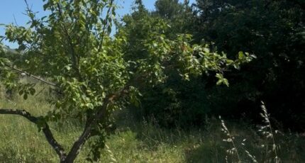 Aubagne Terrain à bâtir - 2391228-7054annonce320260113KS7g0.jpeg Maisons Open