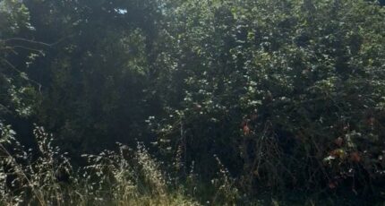 Aubagne Terrain à bâtir - 2391228-7054annonce120260113qBUFM.jpeg Maisons Open