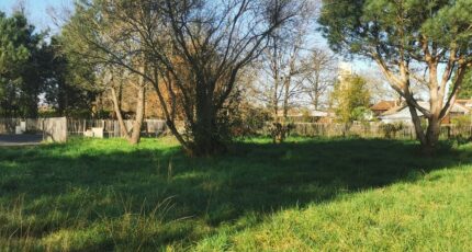 Castelnau-de-Médoc Terrain à bâtir - 2391413-3957annonce1202601139qFkB.jpeg Maisons Open