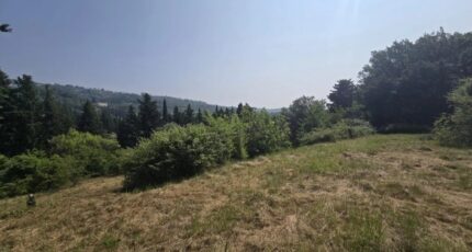 Grasse Terrain à bâtir - 2390277-11719annonce2202601134THUe.jpeg Maisons Open