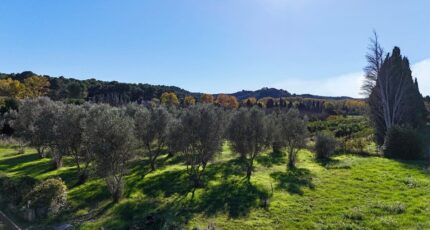 Mas-Blanc-des-Alpilles Terrain à bâtir - 2391847-11073annonce120260113TCxK6.jpeg Maisons Open