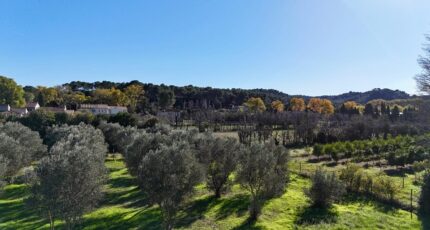 Mas-Blanc-des-Alpilles Terrain à bâtir - 2391847-11073annonce220260113ZRFTB.jpeg Maisons Open