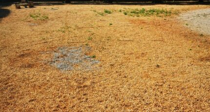 Allauch Terrain à bâtir - 2391934-5374annonce120250623hVpbT.jpeg Maisons Open