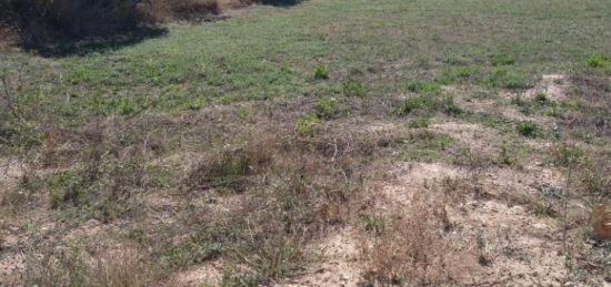 Terrain à bâtir à , Bouches-du-Rhône