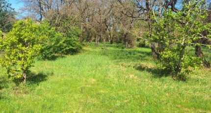 Montbartier Terrain à bâtir - 2390258-3575annonce220260113bHm4L.jpeg Maisons Open