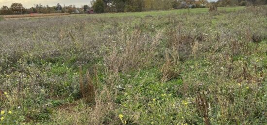 Terrain à bâtir à Daumeray, Pays de la Loire