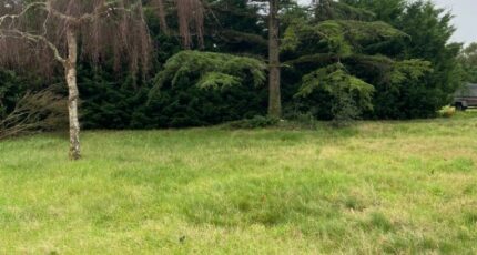 Chaumes-en-Retz Terrain à bâtir - 2333922-11110annonce120260112GCe2D.jpeg Maisons Open