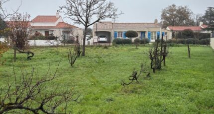 Sainte-Pazanne Terrain à bâtir - 2389539-11110annonce320260112CqueV.jpeg Maisons Open