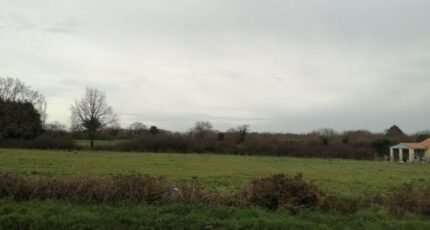 Les Moutiers-en-Retz Terrain à bâtir - 2391199-11110annonce220260113WnBw1.jpeg Maisons Open