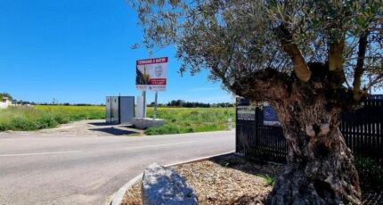 Sauvian Terrain à bâtir - 2392712-11507annonce220260114IqfyP.jpeg Maisons Open