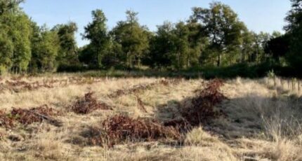 Sadirac Terrain à bâtir - 2393499-3601annonce120260115HWWzw.jpeg Maisons Open