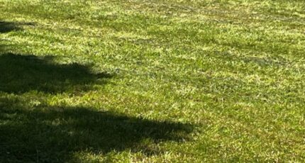 Geay Terrain à bâtir - 2338718-10974annonce120251114FBS6Z.jpeg Maisons Open