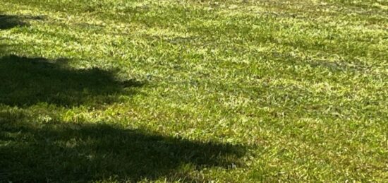 Terrain à bâtir à Geay, Nouvelle-Aquitaine