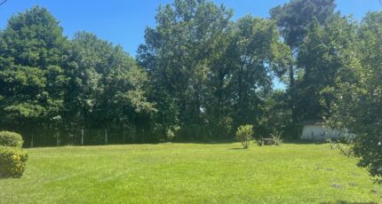 Préchac Terrain à bâtir - 2393571-10677annonce1202601155nprG.jpeg Maisons Open