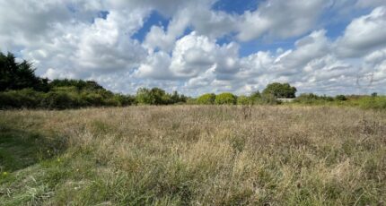 Pernay Terrain à bâtir - 2393717-3427annonce120260115bCcty.jpeg Maisons Open