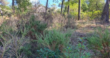 Gréasque Terrain à bâtir - 2393784-11041annonce220260115xFio1.jpeg Maisons Open