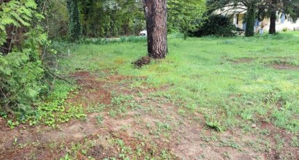 Vernègues Terrain à bâtir - 2393829-11041annonce520260115S4NDJ.jpeg Maisons Open