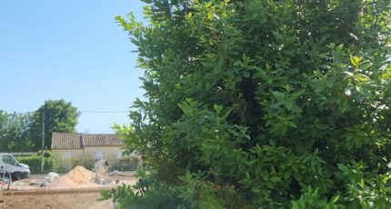 La Crau Terrain à bâtir - 2325097-11077annonce320251031lcBTW.jpeg Maisons Open