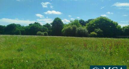 Saint-Sever Terrain à bâtir - 2394340-5828annonce120250522zmSTS.jpeg Maisons Open