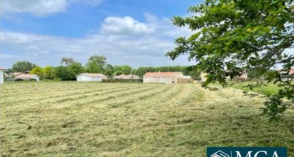 Amou Terrain à bâtir - 2394346-5828annonce120250314I61XE.jpeg Maisons Open