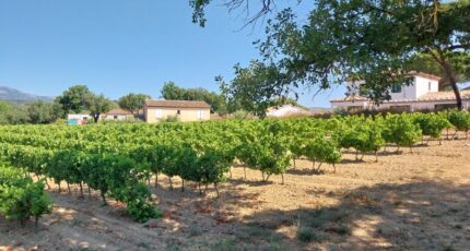 Cogolin Terrain à bâtir - 2340246-11157annonce120251117zwV9J.jpeg Maisons Open