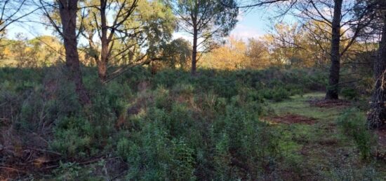 Terrain à bâtir à , Var