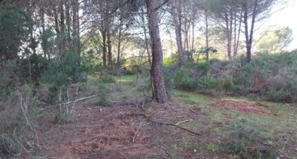 Puget-sur-Argens Terrain à bâtir - 2338950-11157annonce4202511143U4bK.jpeg Maisons Open