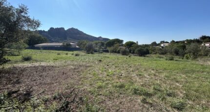 Roquebrune-sur-Argens Terrain à bâtir - 2306609-4529annonce220251015zyHWr.jpeg Maisons Open