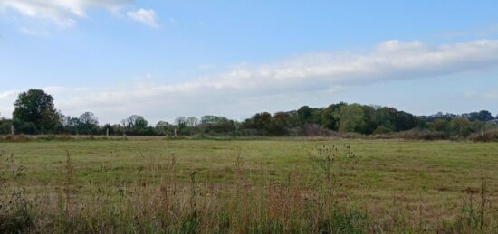 Terrain à bâtir à , Calvados