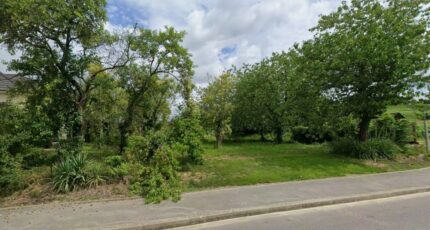 Jonchery-sur-Vesle Terrain à bâtir - 2365011-11223annonce120251211L6fPn.jpeg Maisons Open